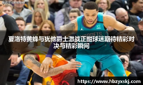 九游体育.九游体育官网入口