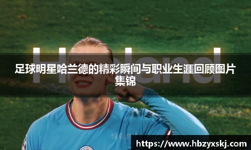 九游体育.九游体育官网入口